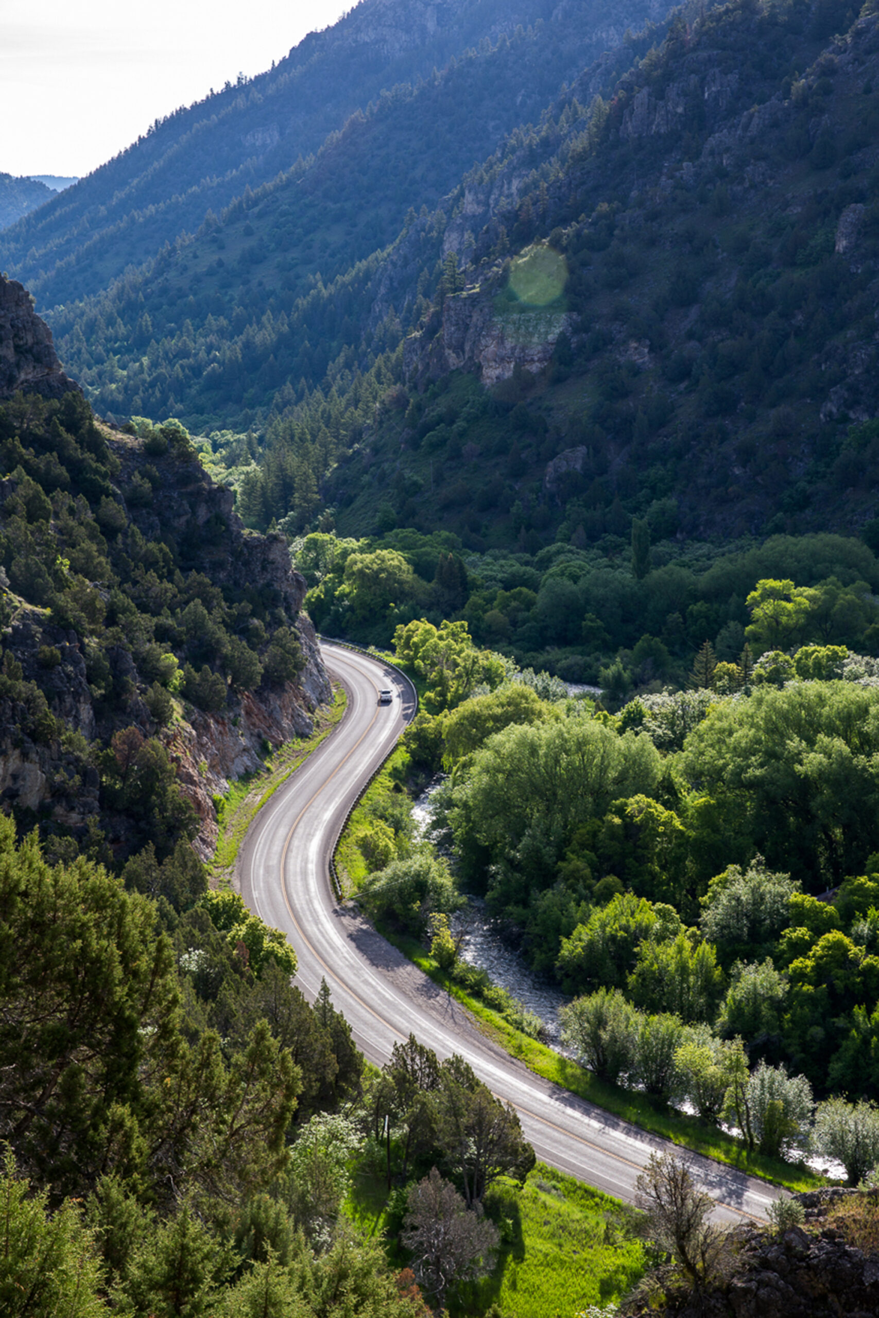 Logan Canyon Chase Harris